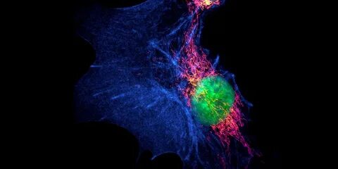 Super resolution