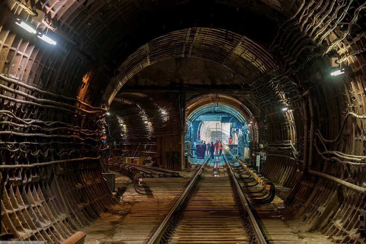 станция метрополитена маяковская. московский односвод. метро проспект мира кольцевая. платформа рижская ленинградского. московская станция 7 букв.