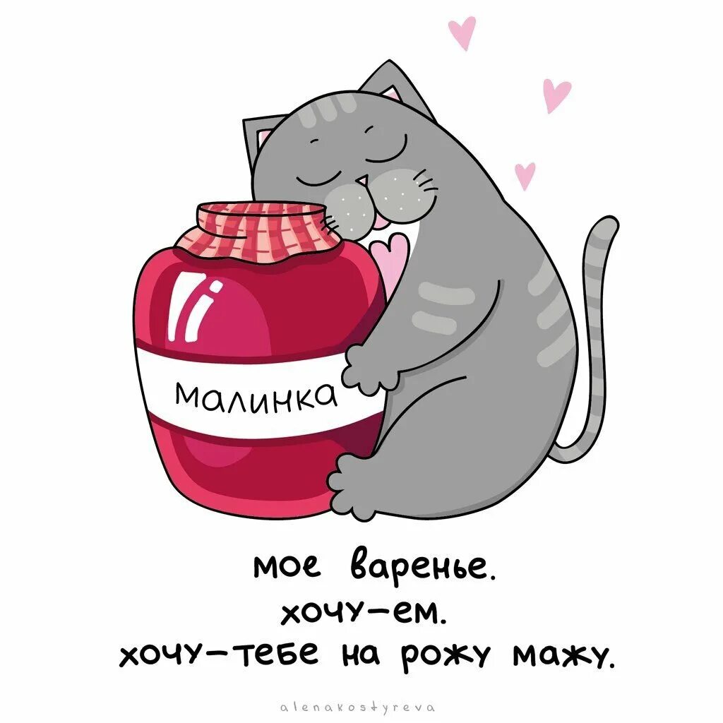 Кот с вареньем. Открытка котика с вареньем. Шутки про варенье. Анекдот про варенье. Хочу варенье ем