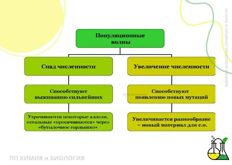 четвериков) -. эволюционное значение волн жизни. мутация популяционные волны. популяционные волны, "волны жизни"(с. популяционные волны и дрейф.