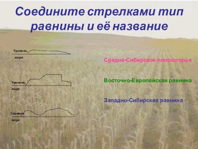 Название равнин. Волнистая равнина. Типы равнин. Волнистые и ступенчатые равнины.