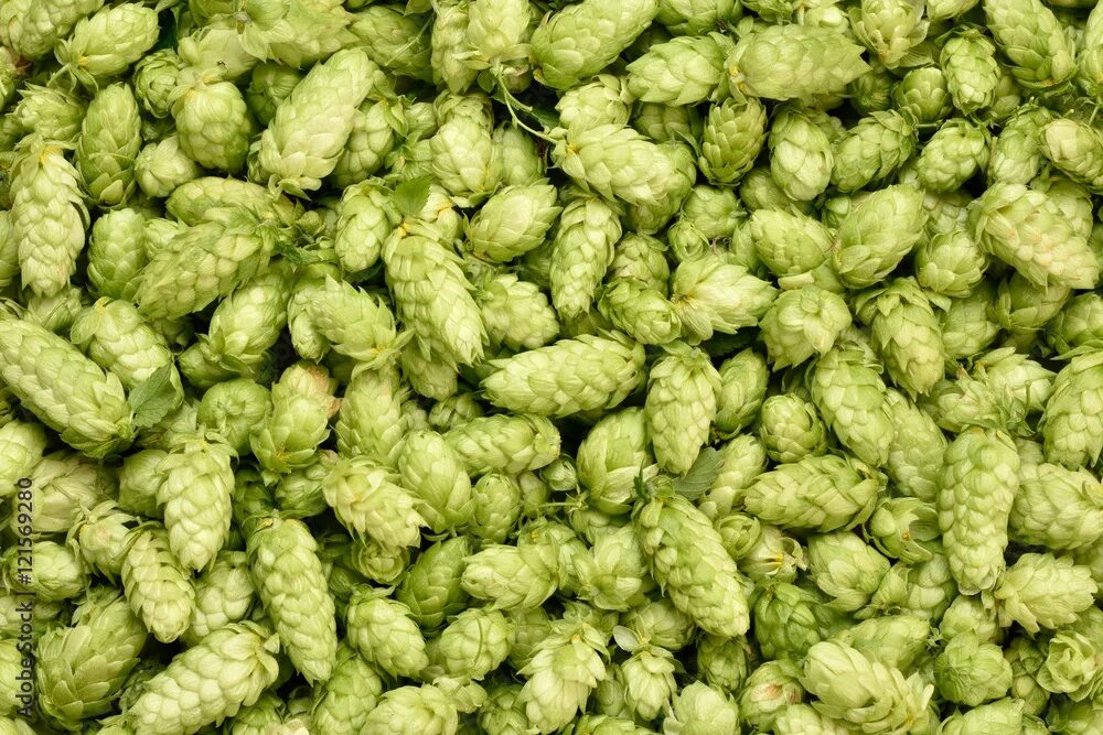 Hops labor solutions