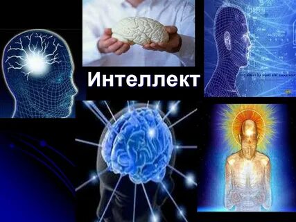 Когнитивный интеллект