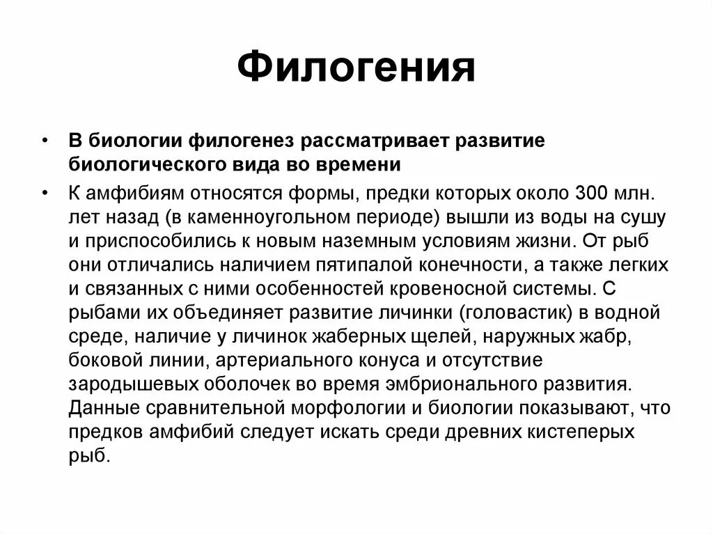 Филогения. Филогенез это в биологии. Филогения это в биологии. Филогенез простейших.