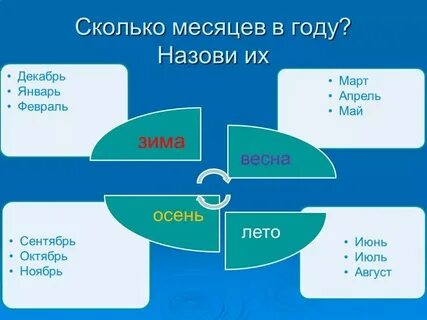 Сколько месяцев содержит 5 6