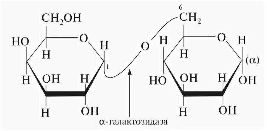 Альфа галактозидаза отзывы. Изомальтоза формула. Формула мальтозы и изомальтозы. Структурная формула изомальтозы. Изомальтоза структурная формула.