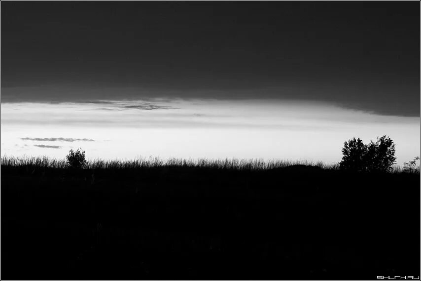 поле в тумане. Fine water. дуб беловежский пленка пвх. серый закат. белый горизонт.