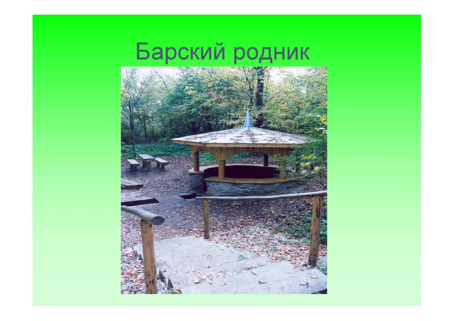 Тело родник. Барский Родник Челно-Вершинский район. Аксакова Родник. Коля родников. Библиотека Родник.