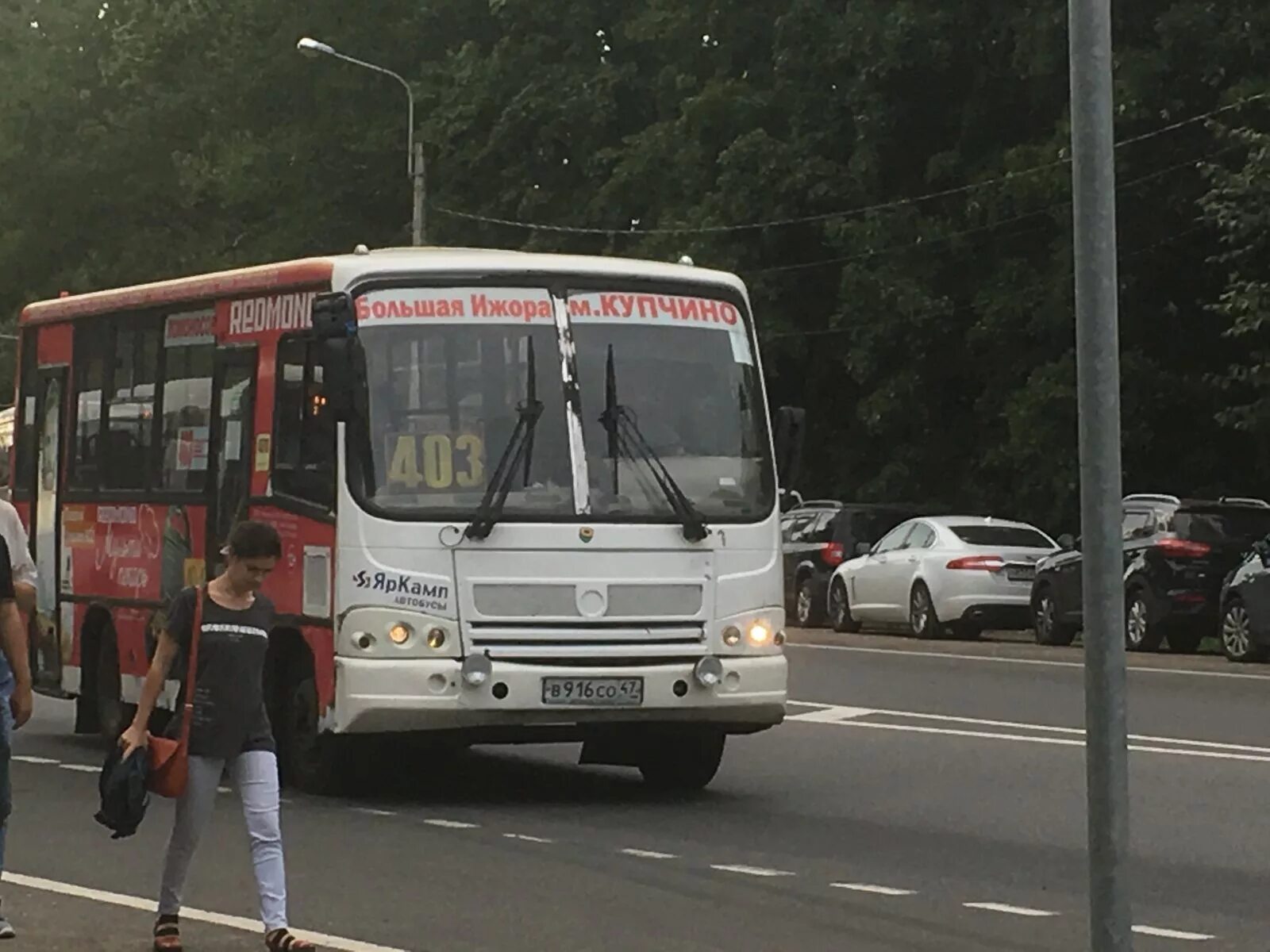 403 Маршрутка Сосновый Бор Купчино. Автобус 403 Сосновый Бор. Автобус 403 Купчино. Автобус 403 Купчино Сосновый Бор маршрут. Расписание 403 маршрутки купчино