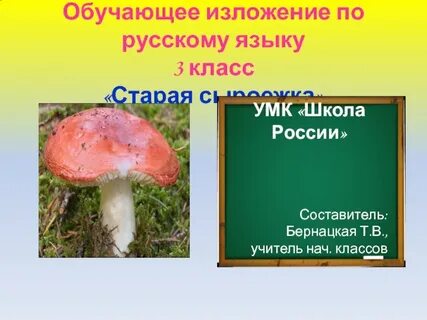 Изложение сыроежка 3 класс