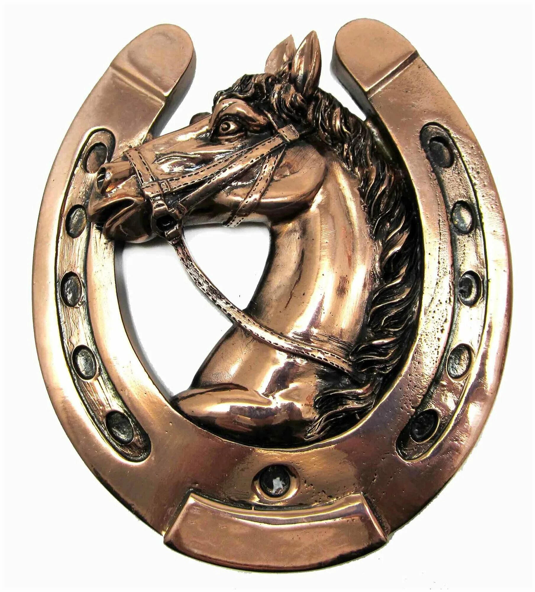 Checking Horseshoe- Above the Ground Horseshoe, Horses, Hooves