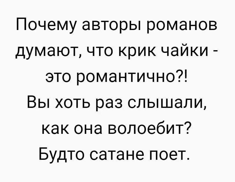 Я пою как чайка. Чайка волоебит. Почему авторы Романов думают что крик Чайки. Как она волоебит.