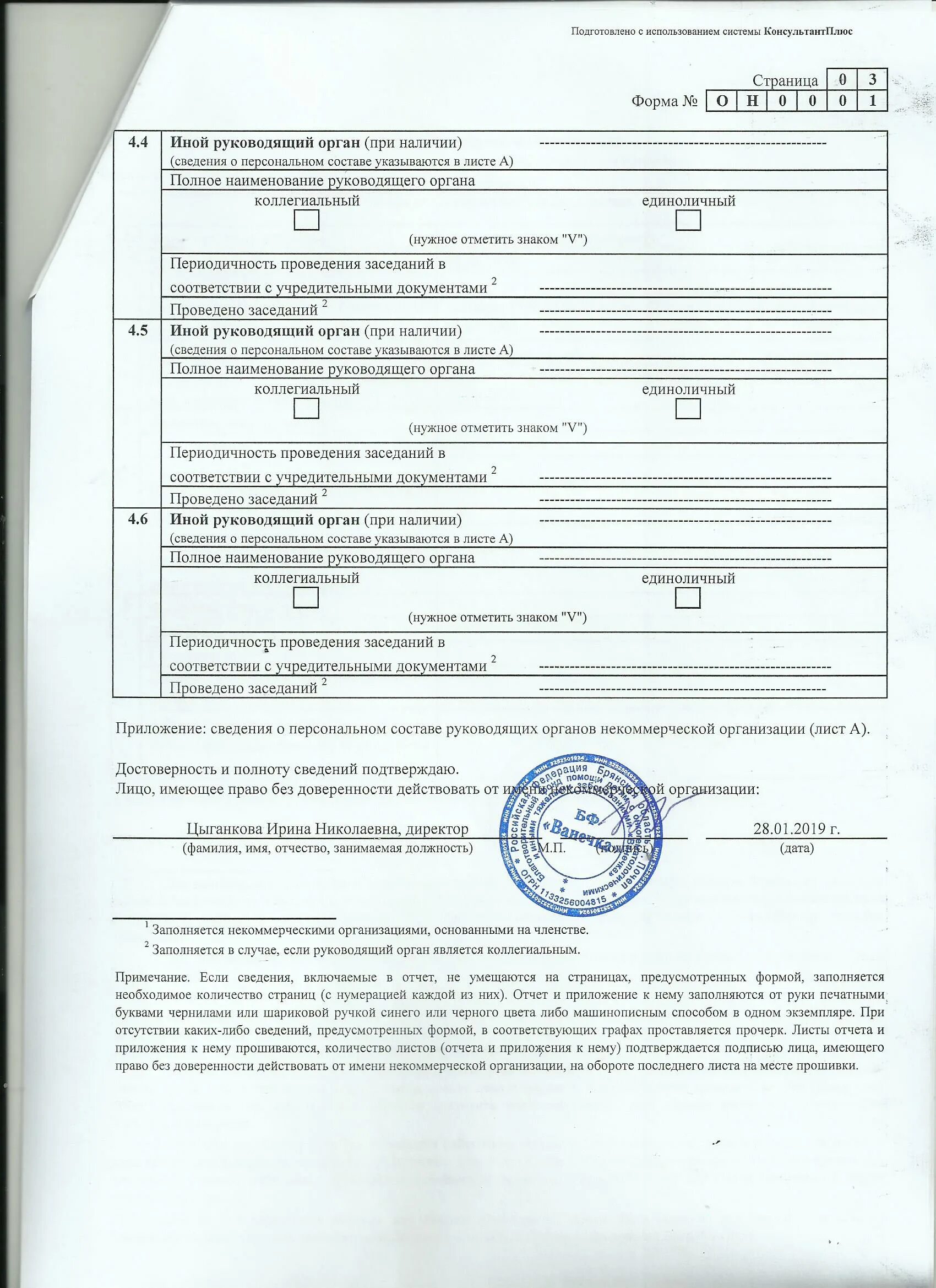 Сведения о персональном составе работников некоммерческой организации. Отчет о персональном составе руководящих органов. состав руководящего органа некоммерческой организации. сведения о персональном составе руководящих органов образец. полное наименование руководящего органа нко это.