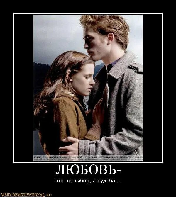 Выбор был не случайным. Рука бога. Выбор был не случайным. Каждая встреча. Бывают случайные встречи.