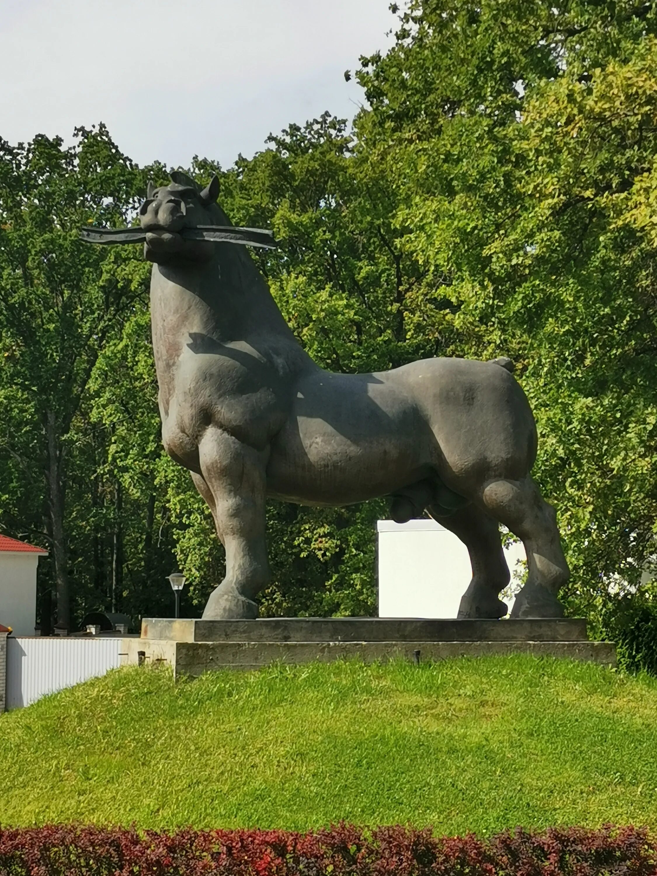 памятник конь ярыж в воронеже. памятник конь ярыж в воронеже. памятник коню ярыжу в воронеже. карабахский скакун. конь в осинниках.