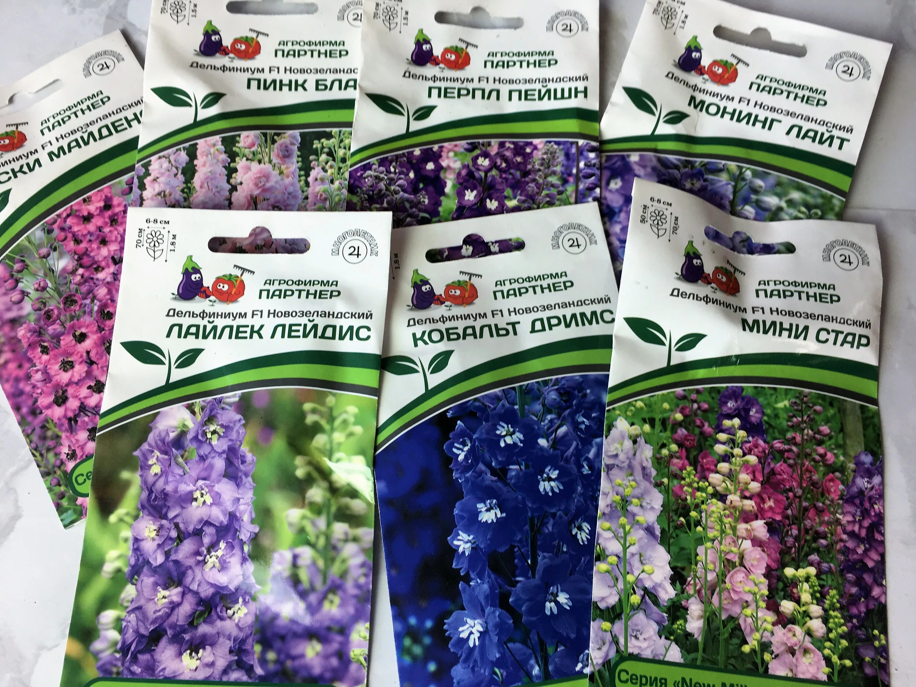 стратификация семян многолетних флоксов. стратификация дельфиниума в холодильнике. стратификация дельфиниума. дельфиниум прорастание семян. как выглядят семена дельфиниума.