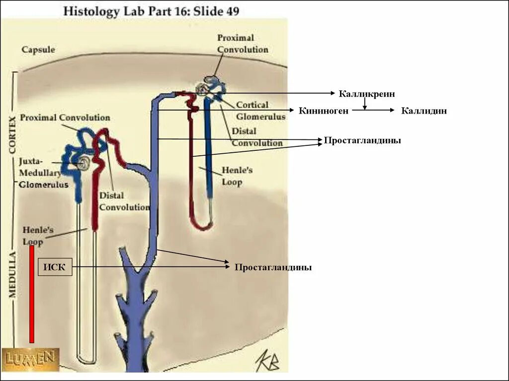 Part lab
