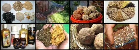 Лучшая приманка леща
