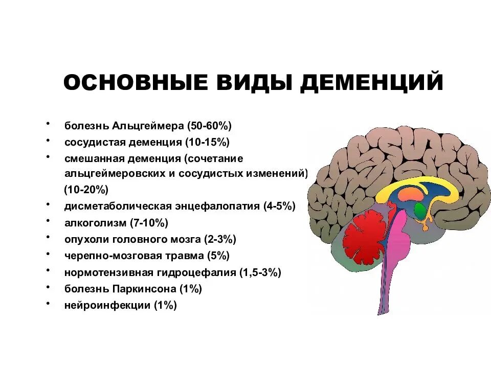 От матки до альцгеймера. Мозг больного альцгеймером. Мозг круглый. От матки до альцгеймера. Нон фикшн.