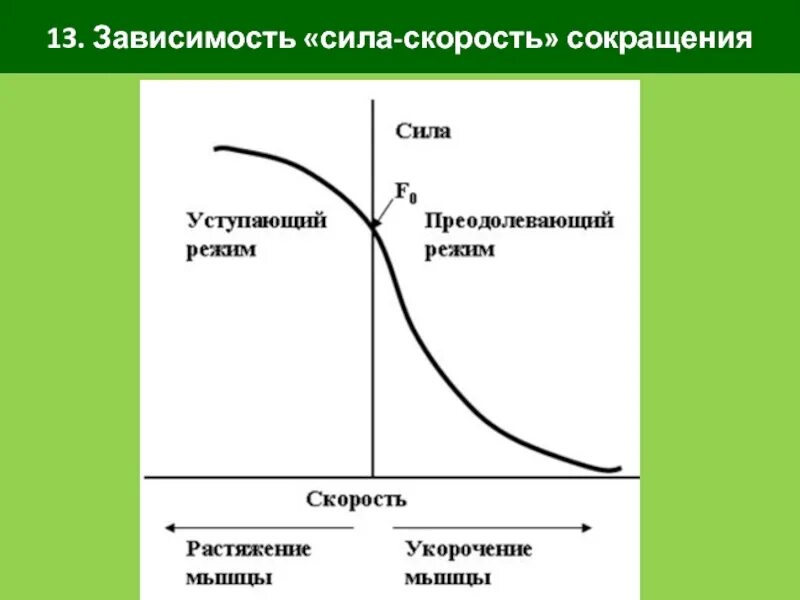 Как сила влияет на скорость. Зависимость силы и скорости. график скорость сила. зависимость силы от скорости. зависимость силы от скорости сокращения ?.