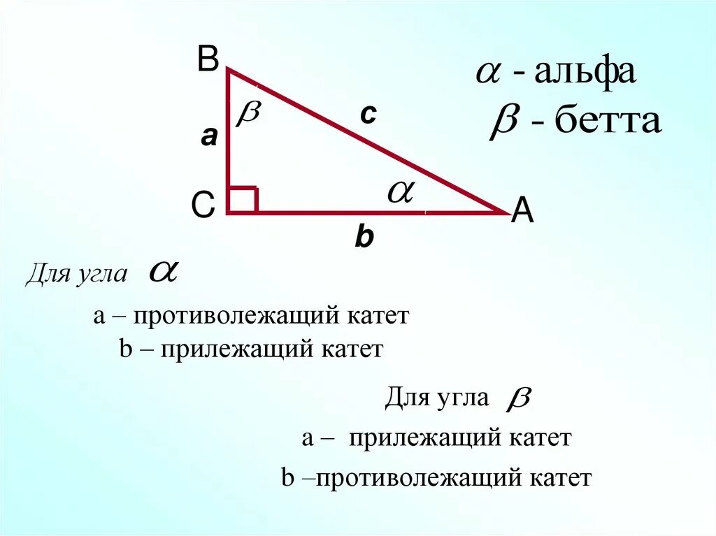 Найти катет через синус угла. Тригонометрические формулы прямоугольного треугольника. Тригонометрические отношения в прямоугольном треугольнике. Противолежащий угол в прямоугольном треугольнике. Противолежащий катет.