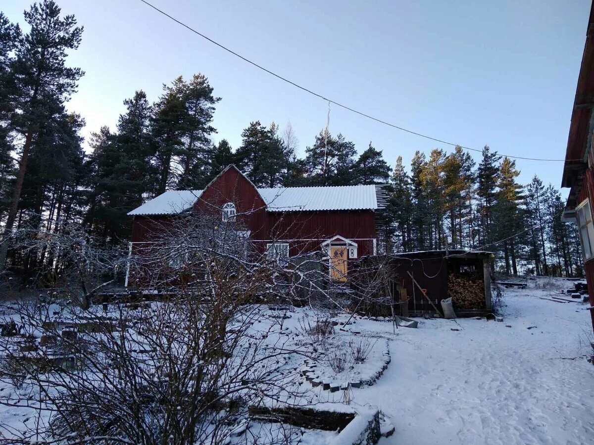 кузнечное фото поселка. поселок кузнечное приозерский район. пос кузнечное приозерский р-он ленинградская обл. подробный прогноз поселок кузнечный. 10 п.