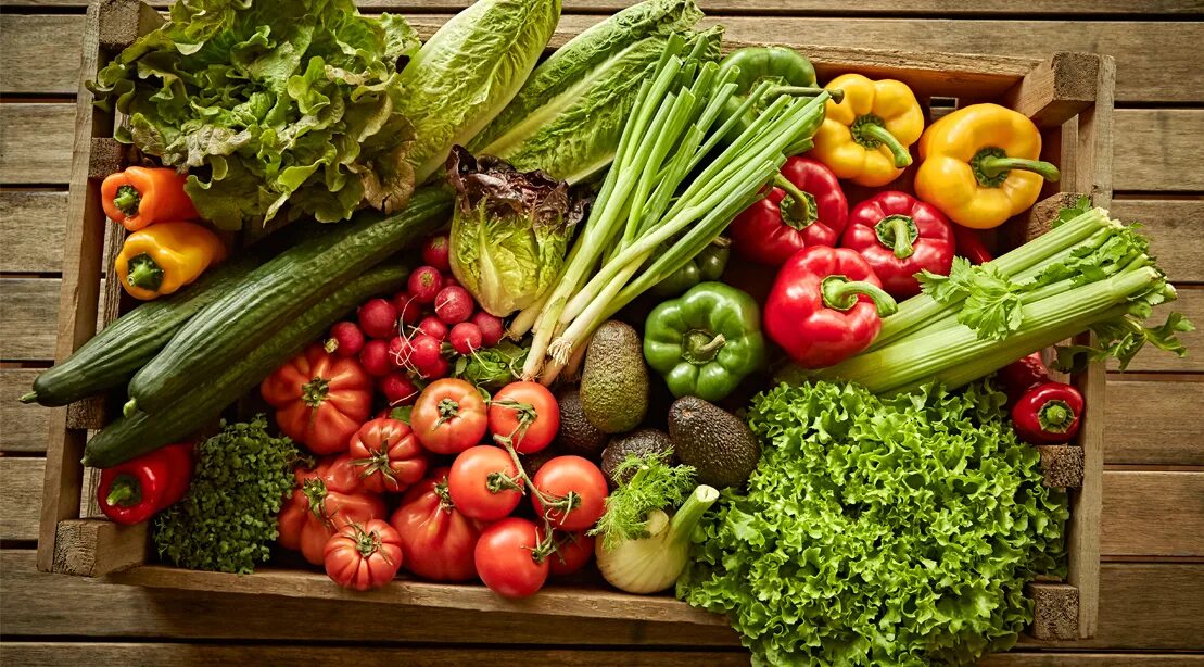 Овощи и зелень. Свежие овощи и фрукты. Органические фрукты и овощи. Свежие овощи и зелень. A lot of vegetables