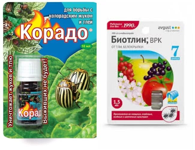 Самое эффективное средство от тли. Препараты от тли на плодовых. препараты против тли на плодовых деревьях. лекарство от тли на деревьях.
