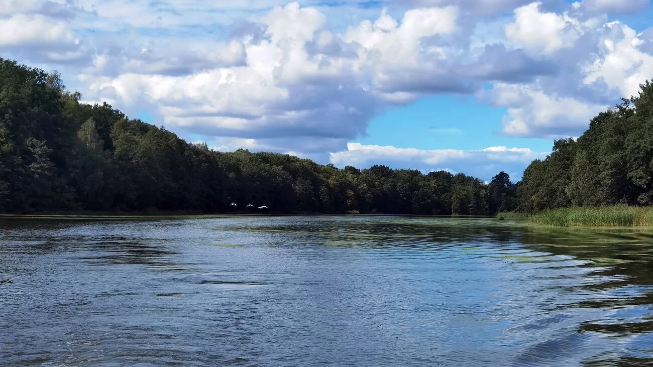 Вода родной край. Правдинское водохранилище Калининградская область. Правдинское водохранилище Алтайский край. Рачунское водохранилище. Правдинское водохранилище Алтайский край плотина.