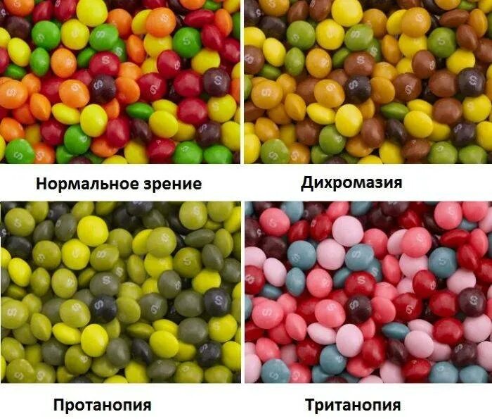 Какие цвета не различают. Дальтонизм дейтеранопия. протанопия дейтеранопия тританопия. цвета для дальтоников. дихромазия.