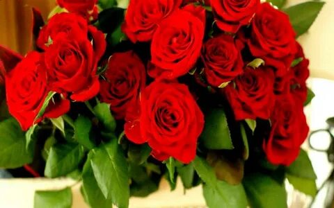 Roses version