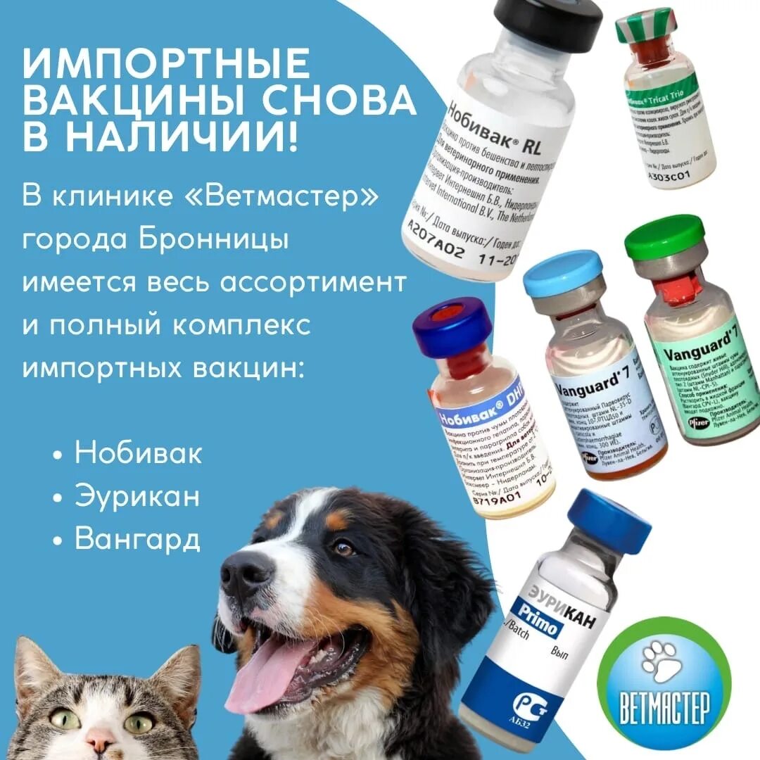Хиб компонент в инфанрикс гекса. Живая вакцина против кори rouvax (франция);. Ветмастер. N10. Пентаксим u3f97.