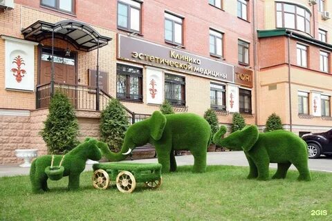 Сайт тори