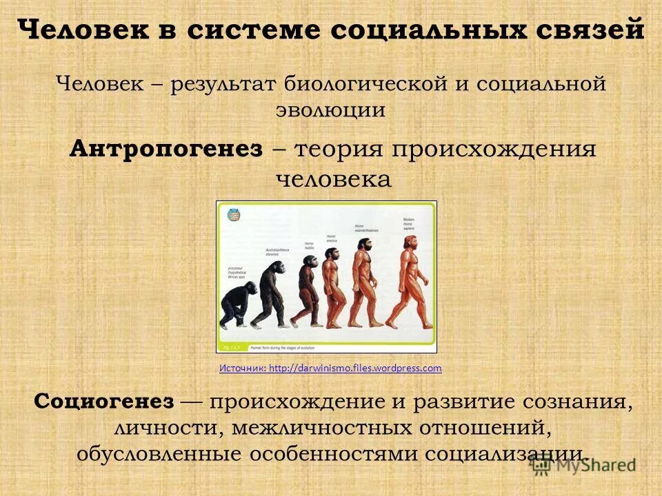 Тест по теме антропогенез. Человек в системе социальных связей. человек в системе социальных связей философия. человек -результат эволюции биологической и социальной. социальное развитие человечества.