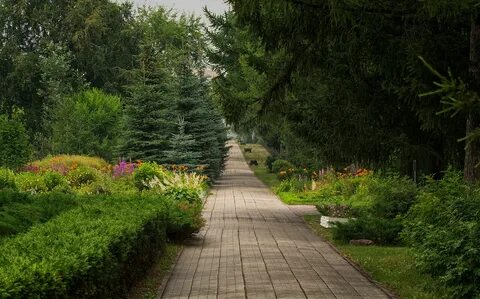 Парки и скверы рощи сады