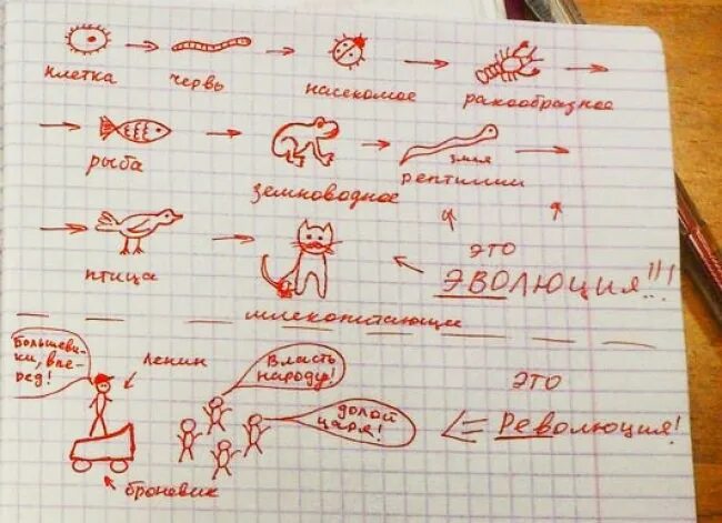 Напишите ответ в тетрадях. Смешные записи в тетрадях. прикольные записи в тетрадях. приколы в школьных тетрадях. смешные рисунки в школьных тетрадях.