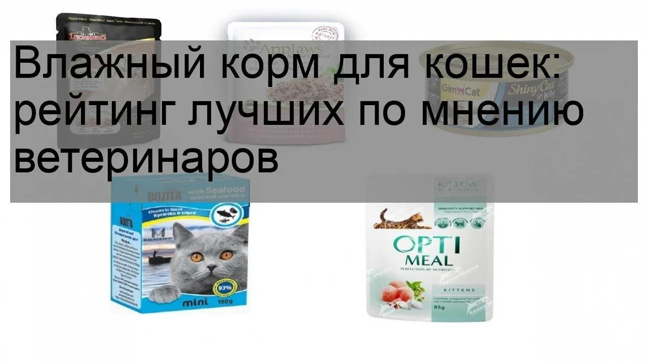 Проплан для кошек жидкий корм. Корм для котят лучший по мнению ветеринаров. Жидкий корм для кошек пурина проплан. Самый хороший корм для котят. Роял канин премиум класса.