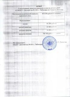 Отчет о расходовании полученных средств