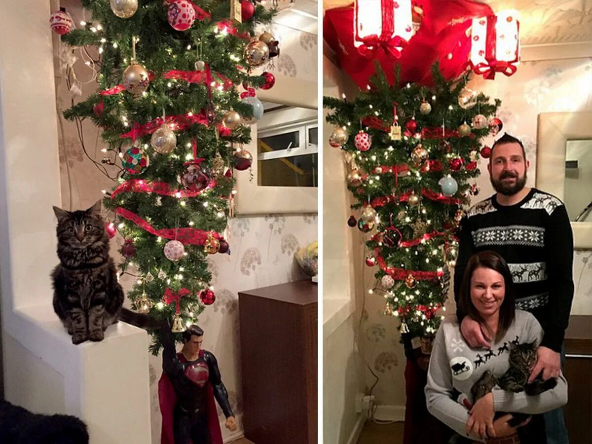 во что ставить елку. новогодняя елка в квартире летом. елка в доме. на что установить елку. поставили елочку дома.