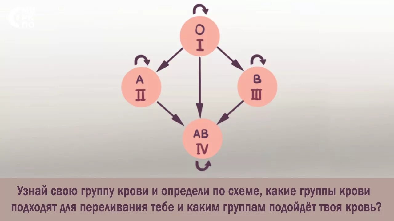 Группы крови подходящие друг другу. Группа крови. Группы крови таблица переливание. Какая группа крови подходит. Кому какую группу крови можно переливать.