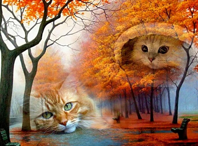 Рыжий кот уходит. Кот уходящий в осень. рыжий кот осенью под дождем. картины фэнтези кошки осень. котя и солнечная осень.