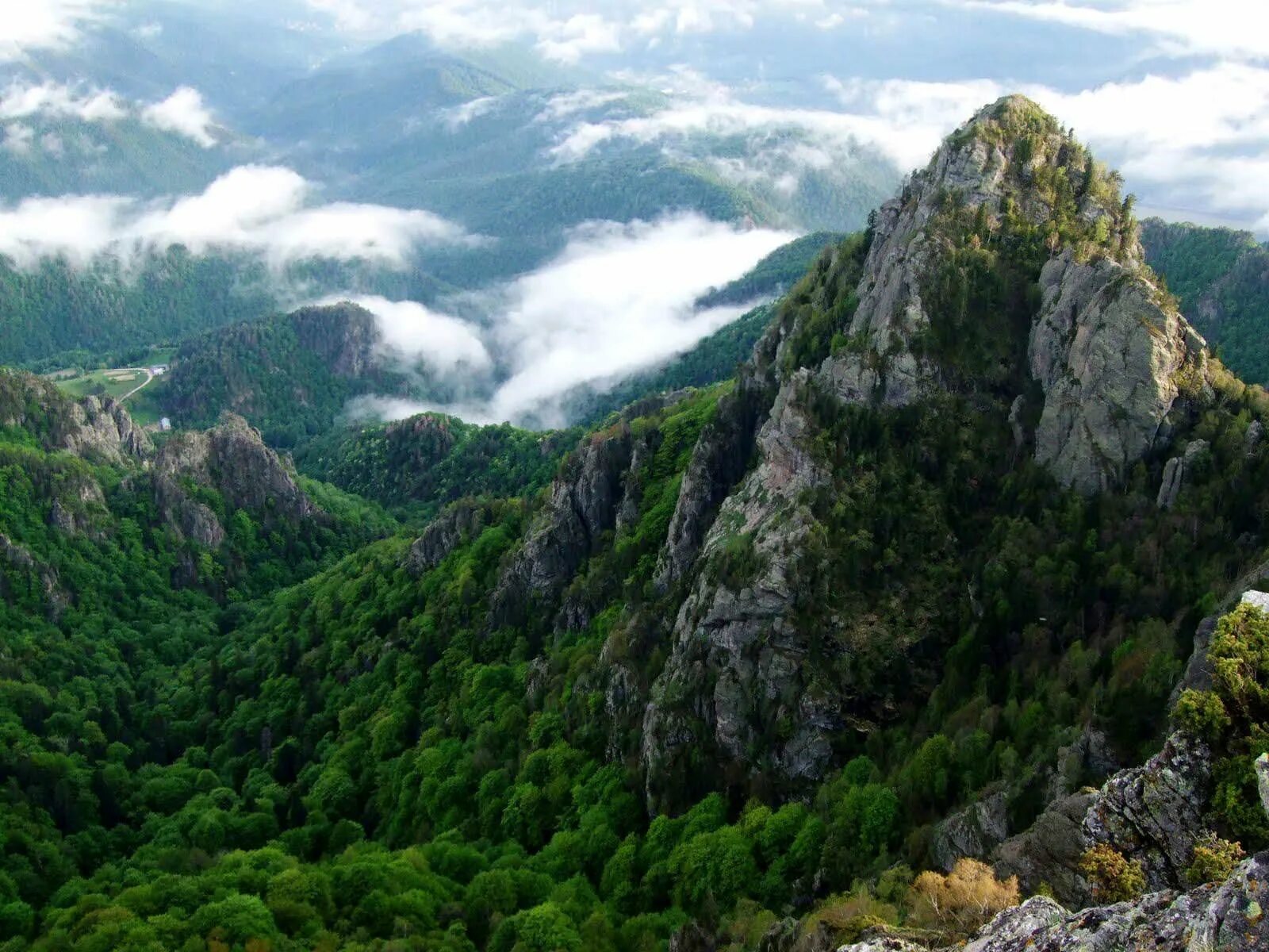 румыния горы карпаты. хребет брусный карпаты. молдова карпаты горы. молдова горы карпатские. украинские карпаты горные хребты.