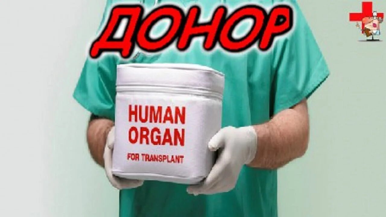 Стану донором почки за деньги. Продажа органов. Срочно нужен донором почки.
