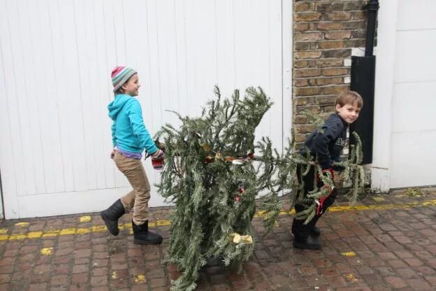 Taking down. Taking down the christmas tree. takedown christmas tree. xmas tree falls down. did you take down the christmas tree?.