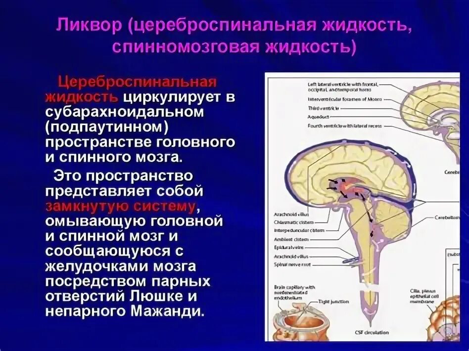 Набор для ликвора