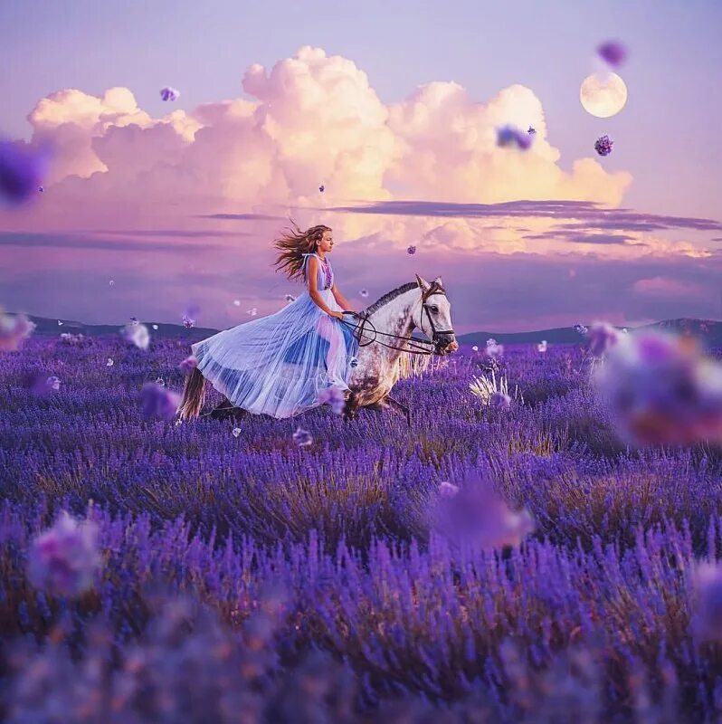 Поле волшебства. Фантастические пейзажи. Хаяо миядзаки ландшафт деревья. Сказочное ночное небо. Рассвет фэнтези картинки.