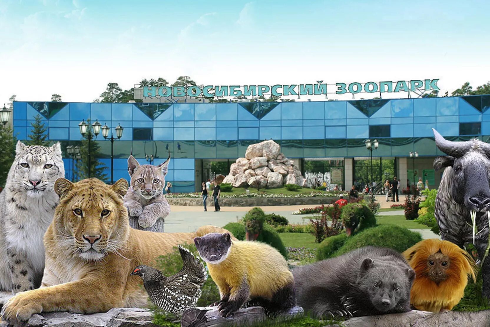 В парке каких животных есть