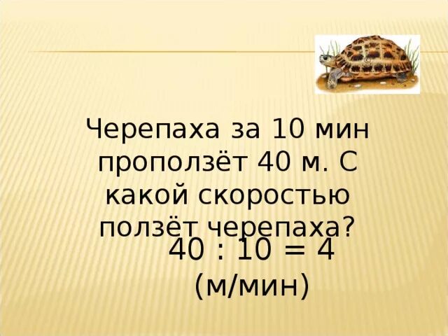 Скорость движения черепахи. Скорость черепахи м/мин. Скорость черепахи км/ч. Скорость черепахи м/с. Скорость черепахи метров в минуту