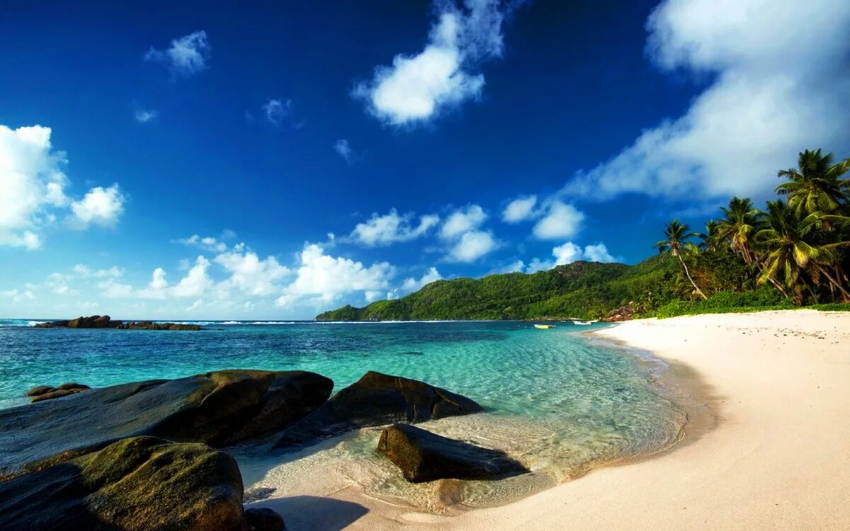 голубая лагуна саона доминикана. остров родригес маврикий. побережье атолла каролайн (острова лайн, кирибати). остров грин айленд. остров фихалхохи мальдивы.