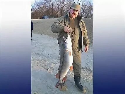 2 рыбака поймали 36 рыб первый